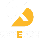 Sky Exchange logo